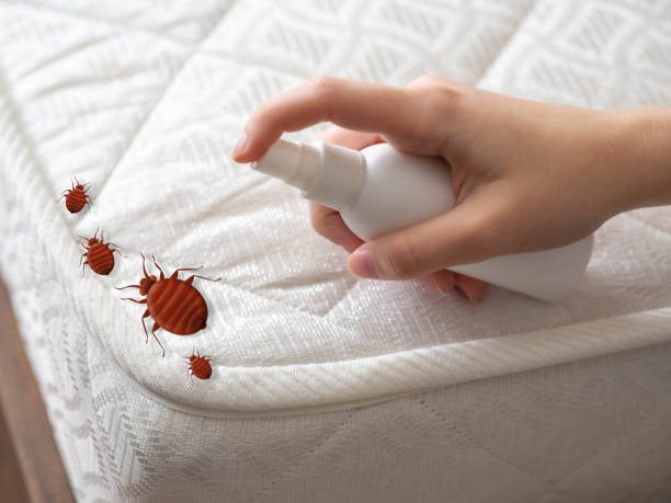 Best Best Pest Control Companies  in Monument, CO